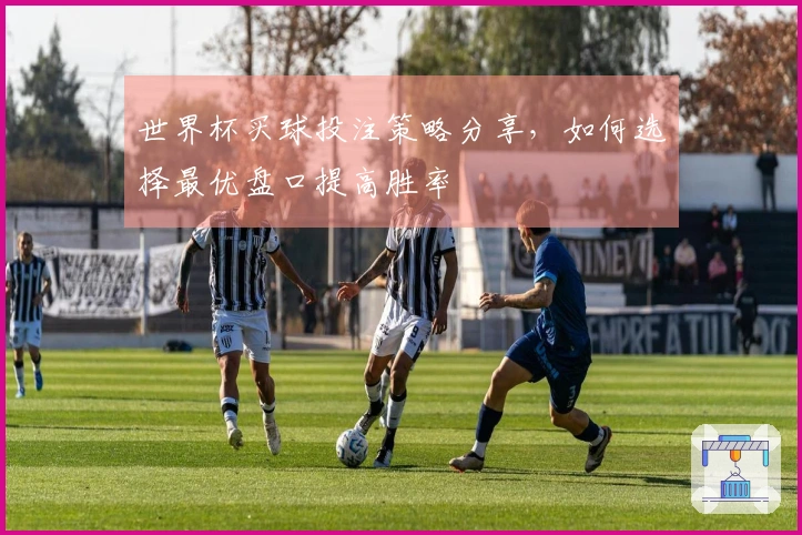 世界杯买球投注策略分享，如何选择最优盘口提高胜率